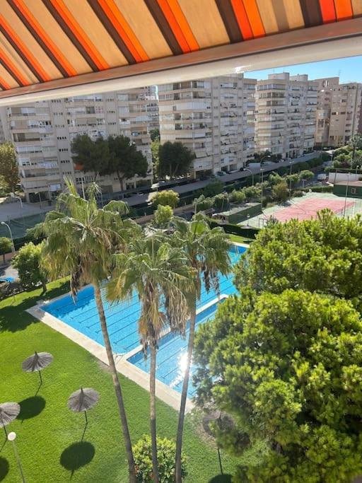 Elegante Loft En San Juan Playa Alicante